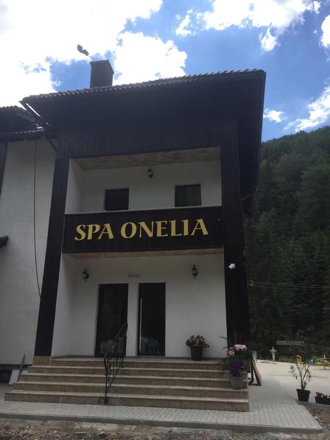 Pension Onelia Gîrda de Sus Extérieur photo