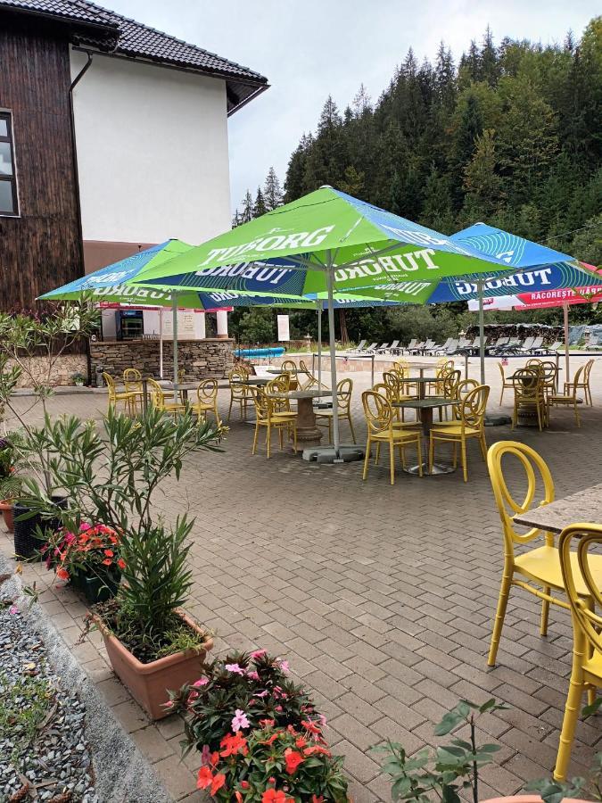 Pension Onelia Gîrda de Sus Extérieur photo