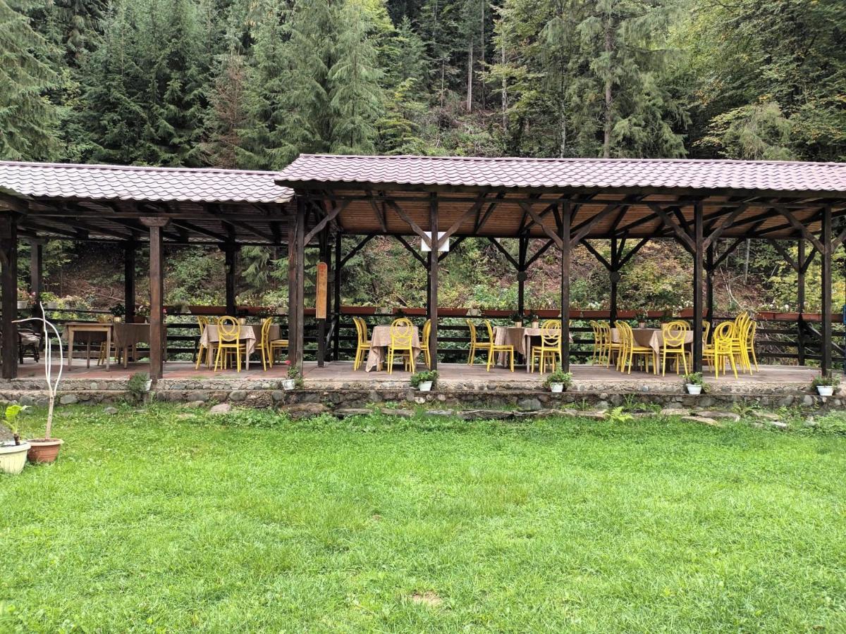 Pension Onelia Gîrda de Sus Extérieur photo