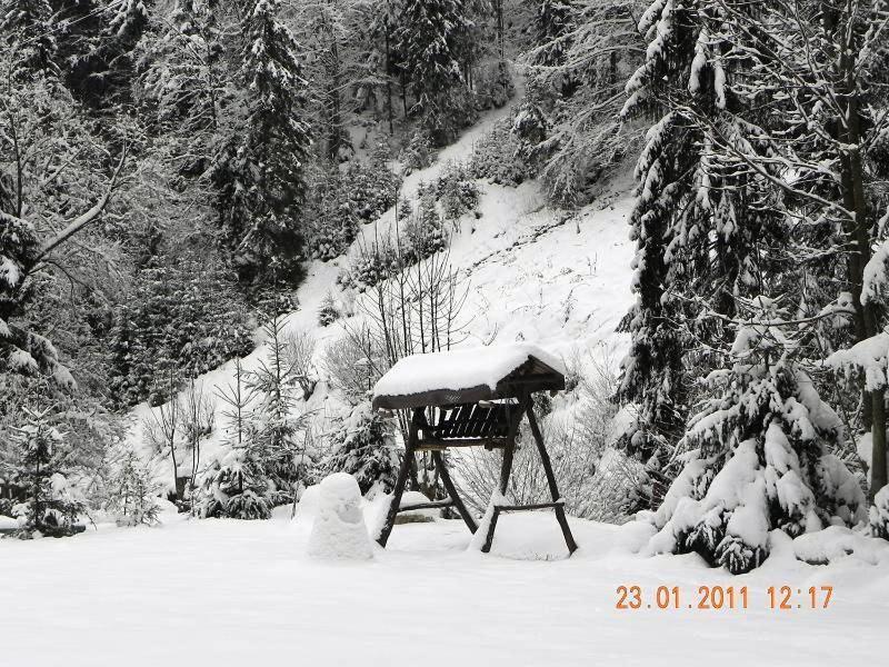 Pension Onelia Gîrda de Sus Extérieur photo
