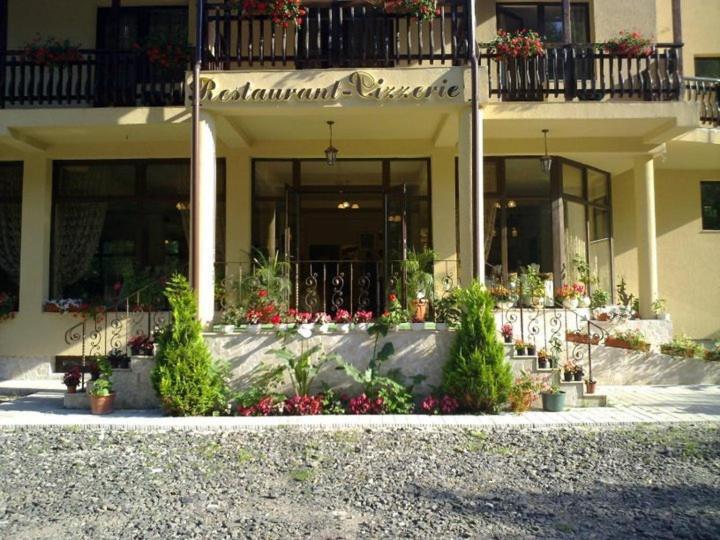 Pension Onelia Gîrda de Sus Extérieur photo