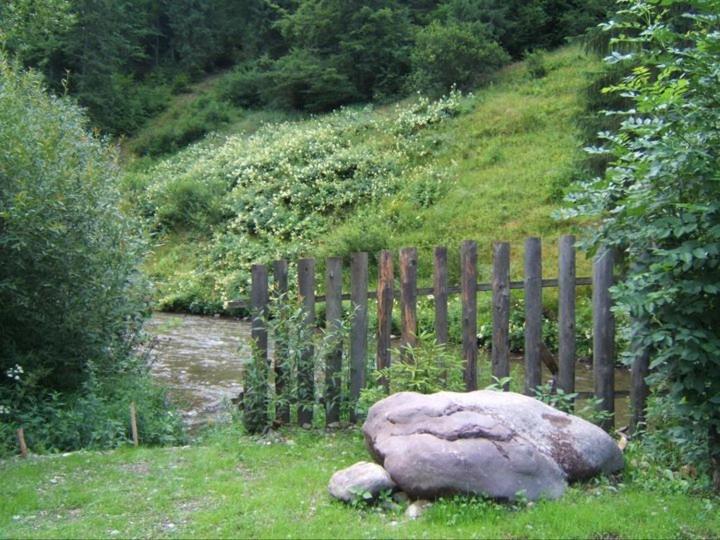 Pension Onelia Gîrda de Sus Extérieur photo